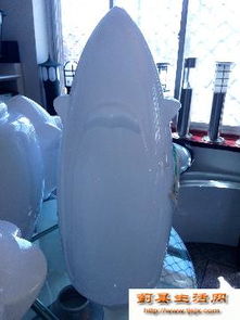 點(diǎn)亮生活，從專業(yè)路燈批發(fā)到安心食品零售——一站式采購新體驗(yàn)